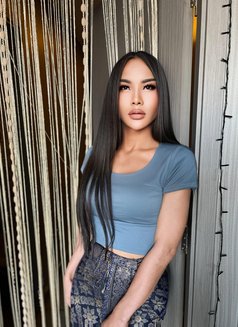 Thai lady in Khobar - Transsexual escort in Khobar Photo 6 of 14