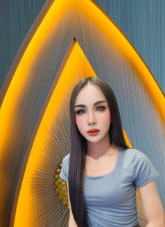 Thai lady in Khobar - Transsexual escort in Khobar Photo 11 of 14