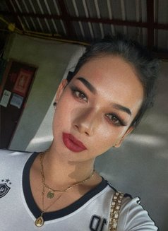 Thai ladyboy both 69 good service - Transsexual escort in Al Manama Photo 7 of 10