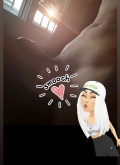 Thai ladyboy both 69 good service - Transsexual escort in Al Manama Photo 8 of 10