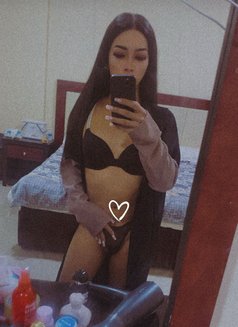 Thai ladyboy both 69 good service - Transsexual escort in Al Manama Photo 11 of 11