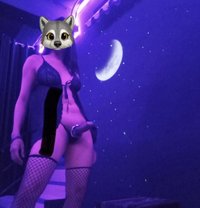Thai ladyboy both 69 good service - Transsexual escort in Al Manama