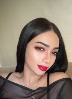 Thai ladyboy both 69 good service - Transsexual escort in Al Manama Photo 14 of 16