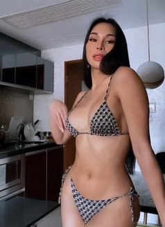 Thai ladyboy in Khobar - Transsexual escort in Khobar Photo 4 of 5