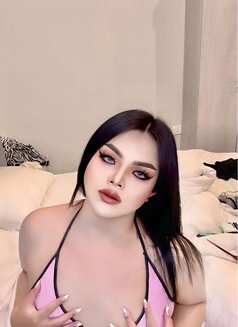 VVIP Thai lady boy - Transsexual escort in Khobar Photo 3 of 7