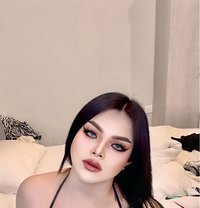 VVIP Thai lady boy - Transsexual escort in Khobar Photo 1 of 5