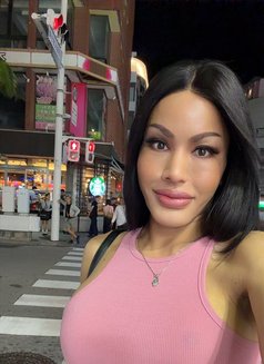 Thai Ladyboy - Transsexual escort in Okinawa Island Photo 4 of 4