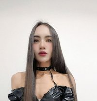 Thai ladyboy VIP - Transsexual escort in Bangkok