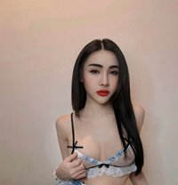 Thai ladyboy VIP - Acompañantes transexual in Khobar