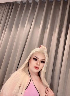 Abina both ladyboy with popper - Transsexual escort in Riyadh Photo 1 of 1