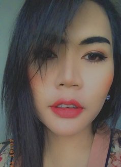 Thai Ladyboy69 - Acompañantes transexual in Muscat Photo 7 of 12