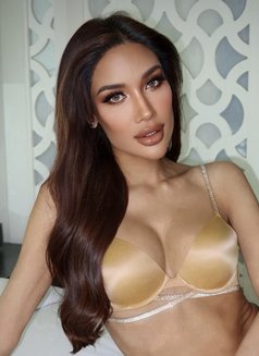 Thai mix Venezuela same picture - Transsexual escort in Dubai Photo 27 of 30