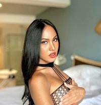 Thai Model 7.5 in Big D ! 🇹🇭 - Transsexual escort in Bangkok