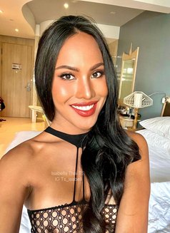 Thai Model 7.5 in Big D ! 🇹🇭 - Transsexual escort in Bangkok Photo 26 of 27