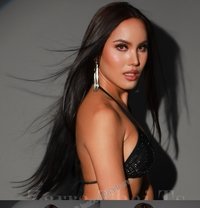 Thai Model 7.5 in Big D ! 🇹🇭 - Transsexual escort in Bangkok