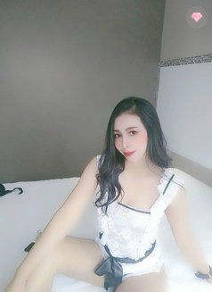 Thai Queen Sofia - escort agency in Doha Photo 1 of 12