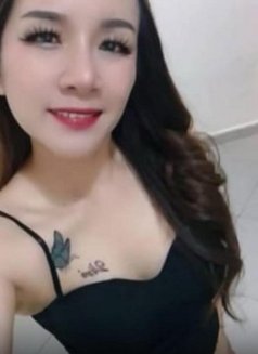 Thai Queen Sofia - escort agency in Doha Photo 5 of 12