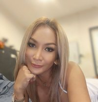 Thailadyboyxxx - Acompañantes transexual in Phuket