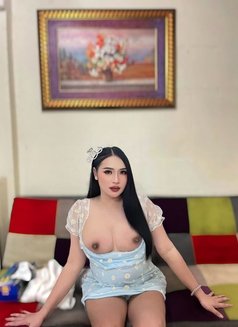 Thailand Both Service 🇹🇭 - Transsexual escort in Doha Photo 3 of 8