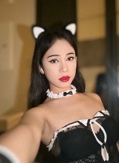 Thailand - Transsexual escort in Dammam Photo 7 of 8