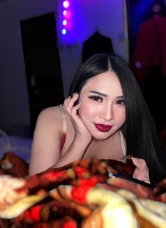 Thailand 🇹🇭 lady boy in doha - Transsexual escort in Doha Photo 4 of 6