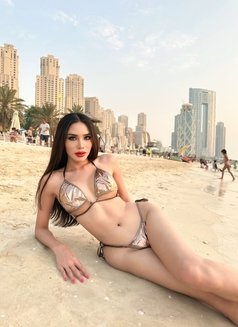Top Model in Thailand🇹🇭Top&Bottom - Transsexual escort in Bangkok Photo 14 of 30