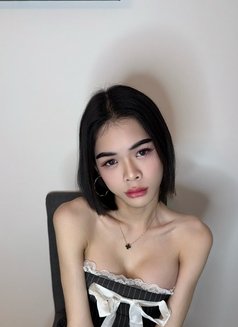 Thailand Ladyboy - Transsexual escort in Al Manama Photo 28 of 28