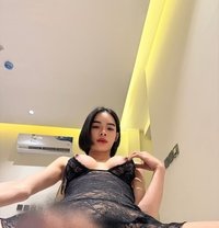 Thailand Ladyboy - Transsexual escort in Riyadh Photo 24 of 24