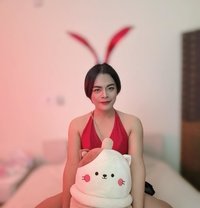 ก้านแก้ว Thailand🇹🇭 - Transsexual escort in Doha