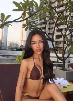 Thalia Sierra - Transsexual escort in Bangkok Photo 14 of 14