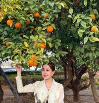 Latifa hadid - Acompañantes transexual in Taipei