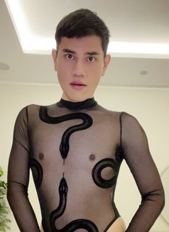 Thanon 🇹🇭 Happy - Male escort in Riyadh Photo 2 of 12