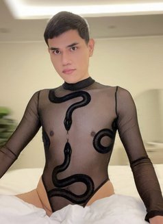 Thanon 🇹🇭 Happy - Male escort in Riyadh Photo 3 of 12