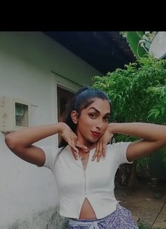 Thanu - Transsexual escort in Colombo Photo 1 of 3