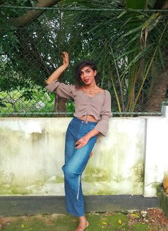 Thanu - Transsexual escort in Colombo Photo 3 of 3