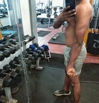 The Animal - Acompañantes masculino in Colombo