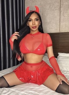 Sexy Ts Paola - Transsexual escort in Phnom Penh Photo 27 of 30