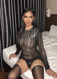 Sexy Ts Paola - Transsexual escort in Phnom Penh Photo 2 of 30