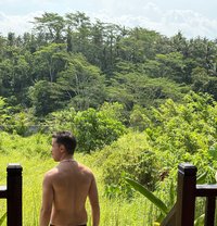 THE BIG BULL - Male escort in Jakarta