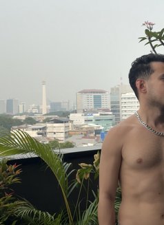 the BIG bull - Male escort in Jakarta Photo 15 of 18