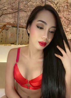 The big cock is now in town - Acompañantes transexual in Bangkok Photo 14 of 15