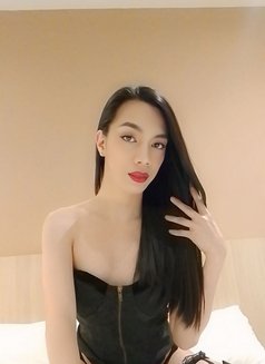 The big cock is now in town - Transsexual escort in Kuala Lumpur Photo 16 of 18