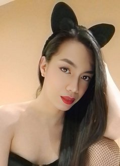 The big cock is now in town - Transsexual escort in Kuala Lumpur Photo 17 of 18