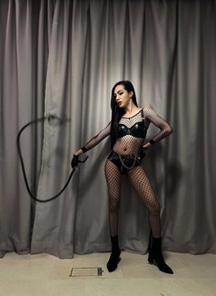 The big cock is ready to PARTY - Transsexual escort in Bangkok Photo 14 of 15