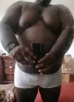 Thé Big Fat Grizzly - Male escort in Colombo Photo 1 of 1