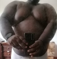 Thé Big Fat Grizzly - Male escort in Colombo