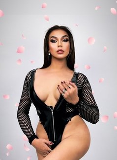 The BIGGEST COCK! - Transsexual escort in Manila Photo 11 of 12
