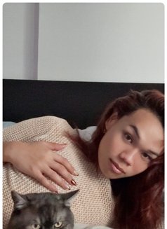 The Divine Arcee 🇵🇭 - Acompañantes transexual in Dubai Photo 9 of 17