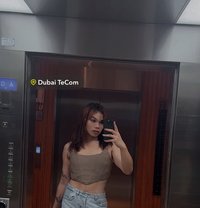 The Divine Arcee 🇵🇭 - Acompañantes transexual in Dubai