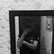 The Gennie - Male escort in New Delhi